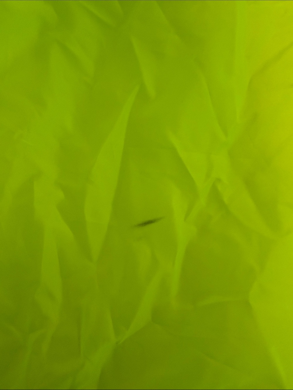 NIKE Racing Neon Yellow Drawstring Backpack - Picture 5 of 7